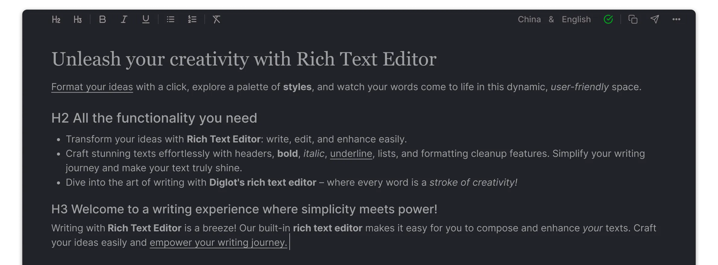 Powerful Rich Text Editor in Diglot.ai app